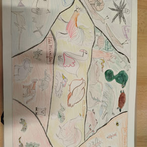 La nature vue par les CE2 Guynemer lors du NAP pôle Nature Environnement