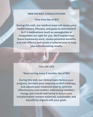 Weightloss consult fees and descriptions.PNG