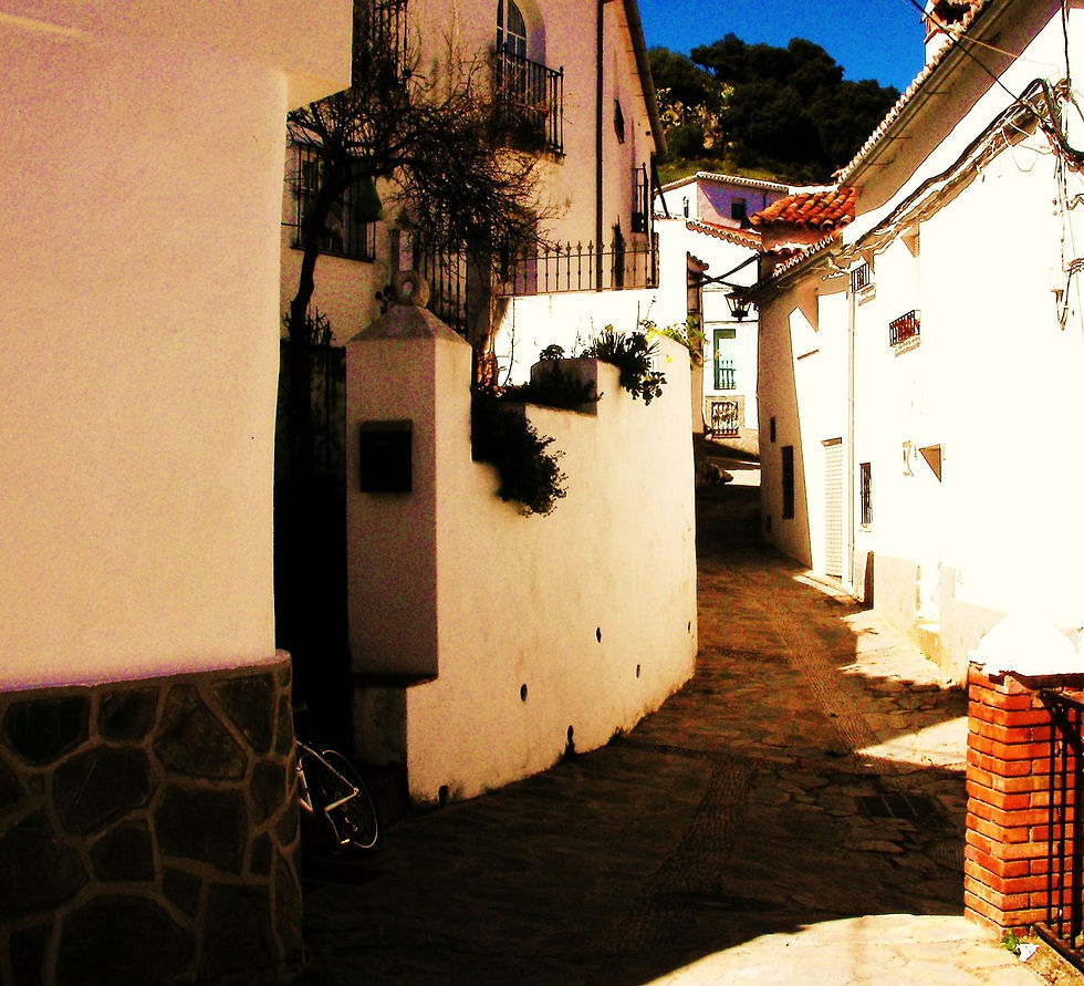 Callejones en los que perderse
