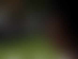 Wealth by Health 2026 February Newsletter