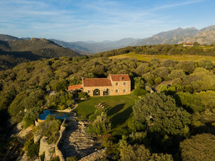 New Client Alert! Domaine de Murtoli, Cosica
