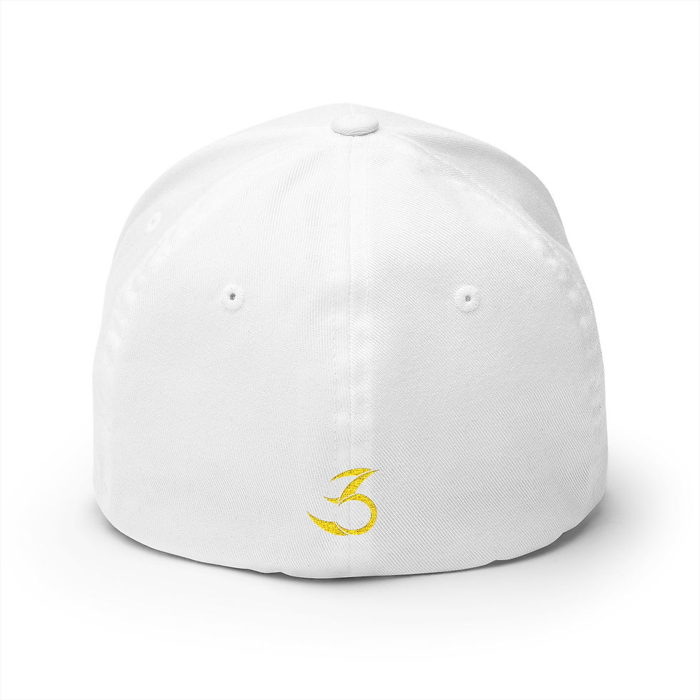 Thumbnail: 3Six "eeldeer" Cap