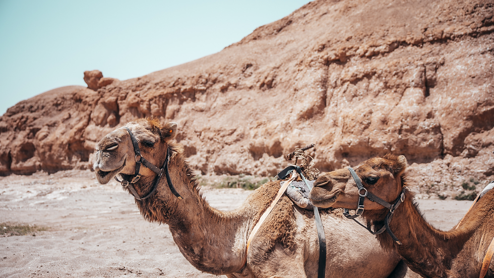 3-Day Desert Tour: Marrakech to Merzouga via Dades Gorges