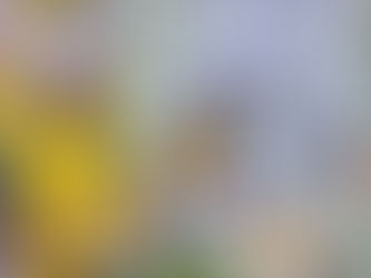 Jantar Promovido pela Igreja Presbiteriana - Centro de Acolhida Zancone.