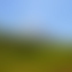 טיול ביעד החלומי - קוסטה ריקה 