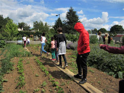 Enfants Secours Catholique