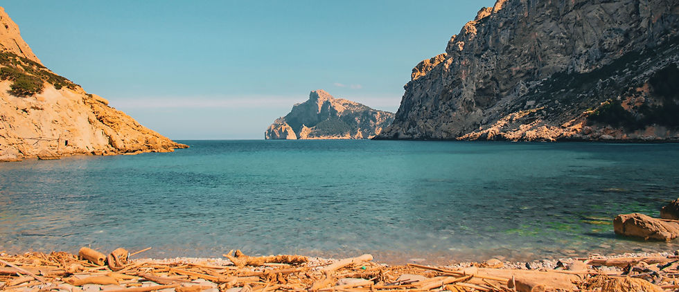 Measuring ecosystem services from railways and Wales' coastline, IPBES Biodiversity and Business