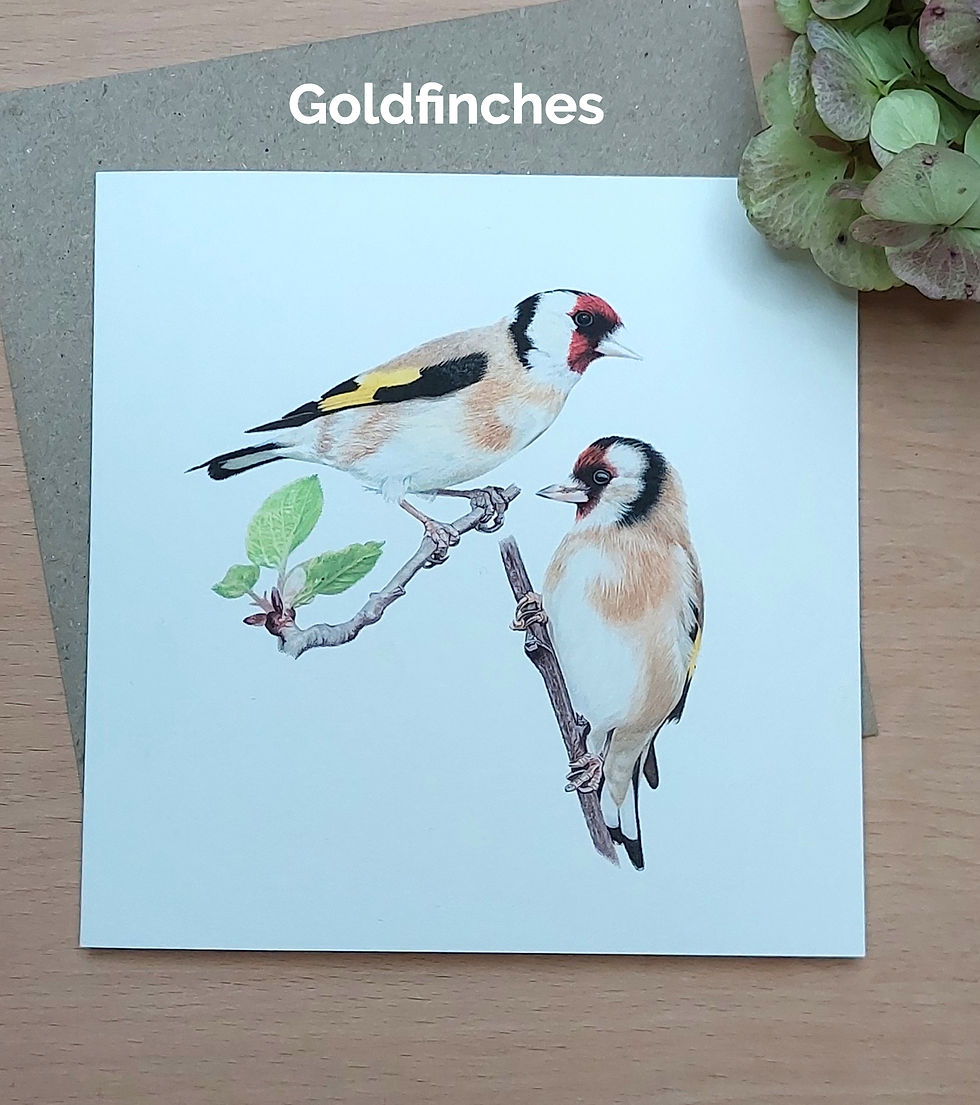 Thumbnail: Greeting Cards Mix & Match - Pack of 5