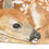 Thumbnail: 'NEWBORN FAWN' Limited Edition Print - Framed