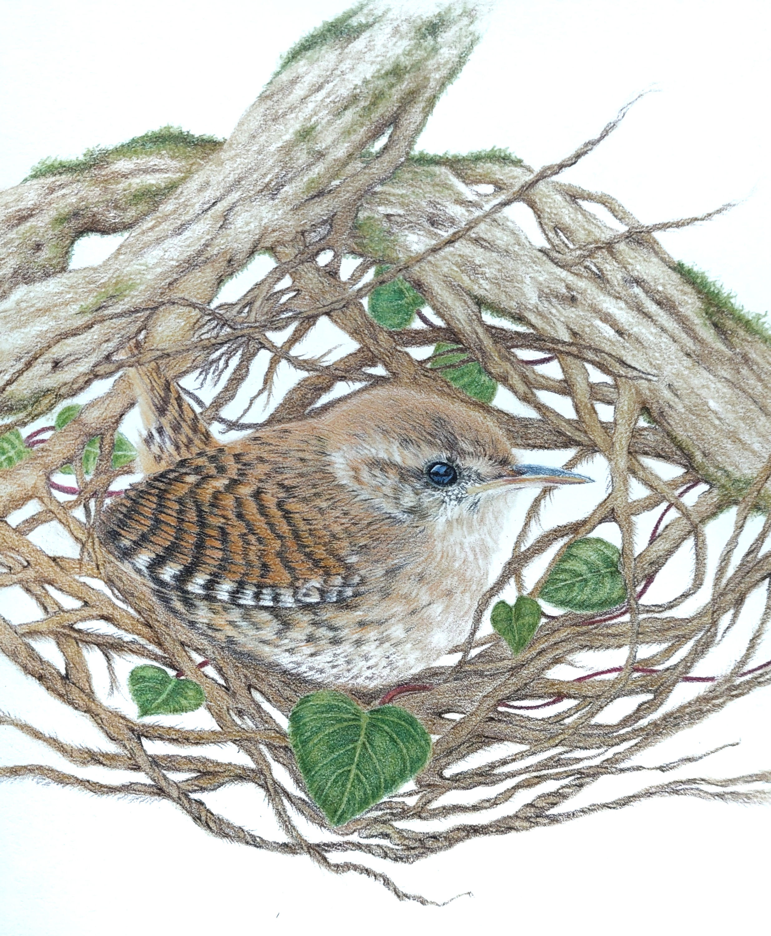 SOLD - 'WREN'S HOLLOW' Original