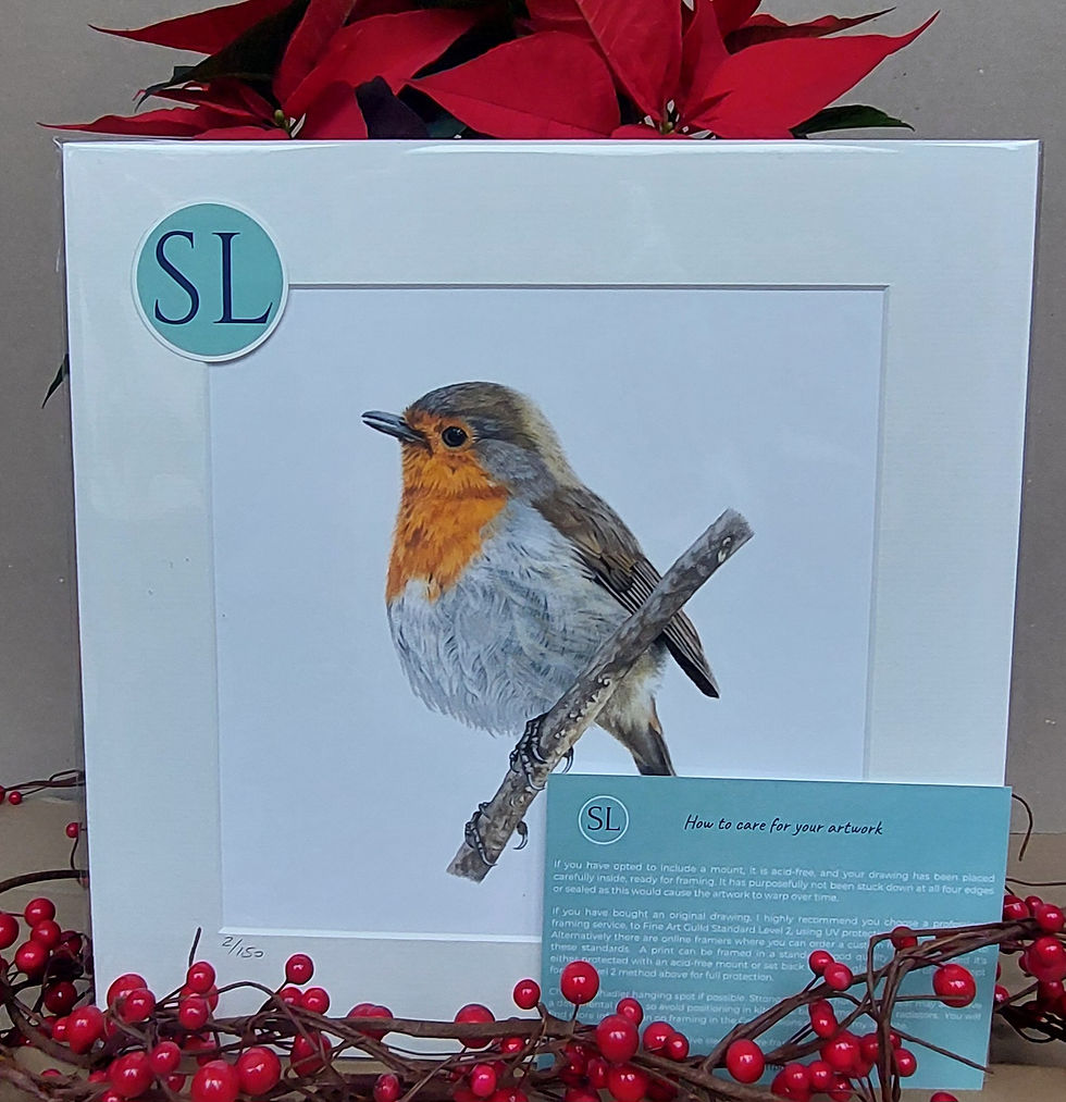 Thumbnail: 'ROBIN' Limited Edition Mounted Print