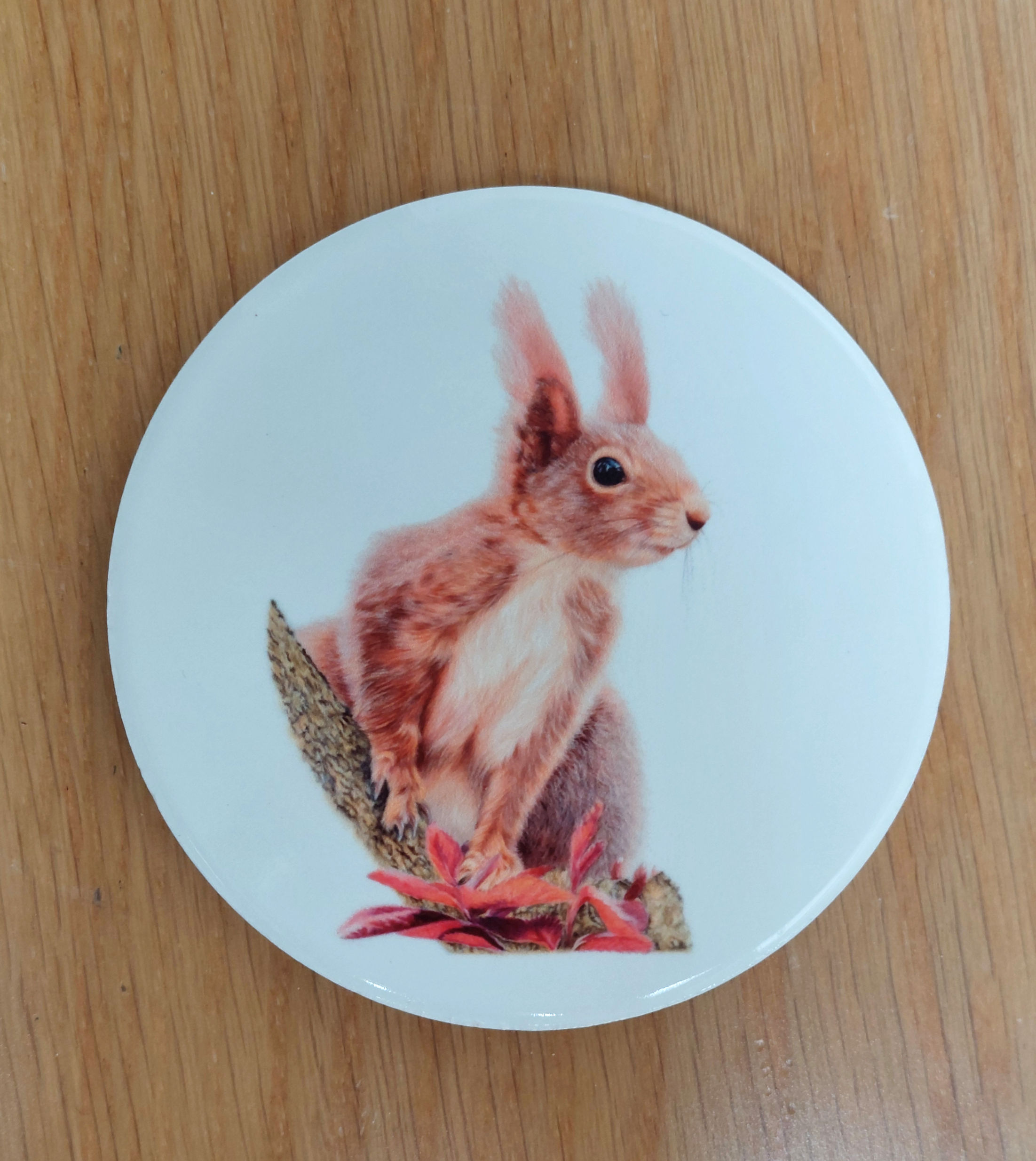 'Red Squirrel' Ceramic Coaster