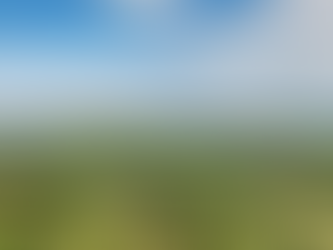 A Homebuyer’s Guide to Property Surveys in North Somerset