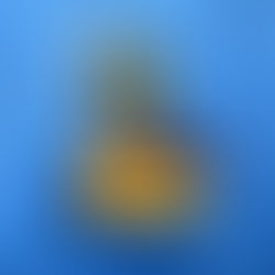 Top Paint Colors of 2020