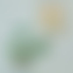 Incorporating Plants To Your Design Style