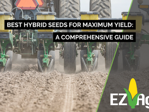 Best Hybrid Seeds for Maximum Yield: A Comprehensive Guide