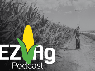 Soil Sampling – Consistency
