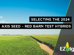 Selecting the 2024 Axis Seed – Red Barn Test Hybrids