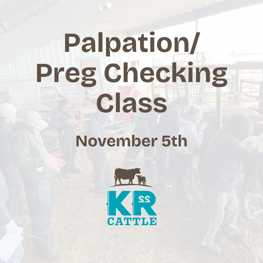 Palpation/Preg Checking Class (November 5)