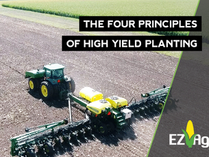 The Four Principles of High Yield Planting