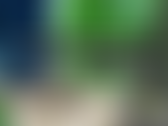 A Hands-On Approach to Fertility: Embracing the Inconsistency of Soil Testing