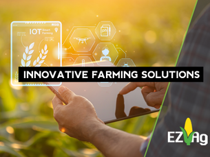 Innovative Farming Solutions with a Professional Agricultural Consultant