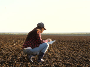 From Lab to Field: How is Pivot Bio Applied for Optimal Crop Health
