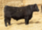 Gunsight-850.jpg