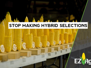 STOP Trying to Make Hybrid Selections