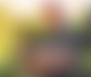 Real Results: Does Pivot Bio Work for Modern Farmers?