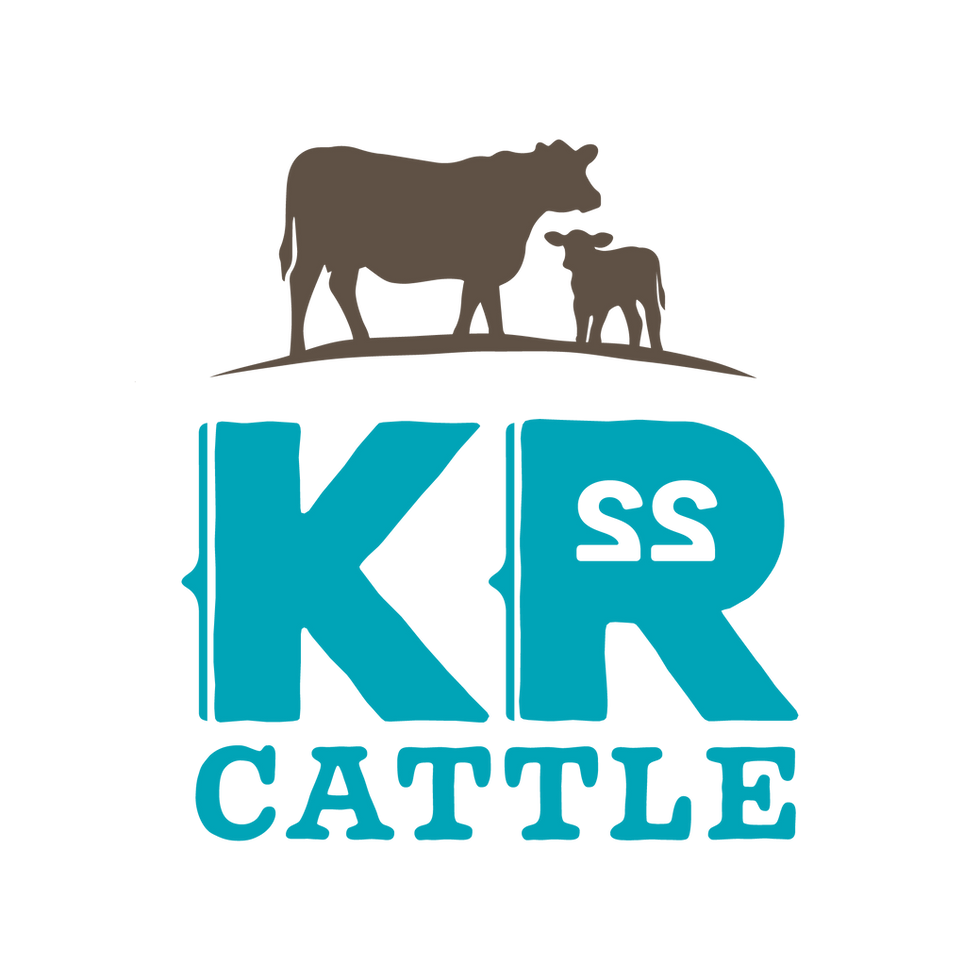 KR Cattle_Artboard 1 copy 3.png
