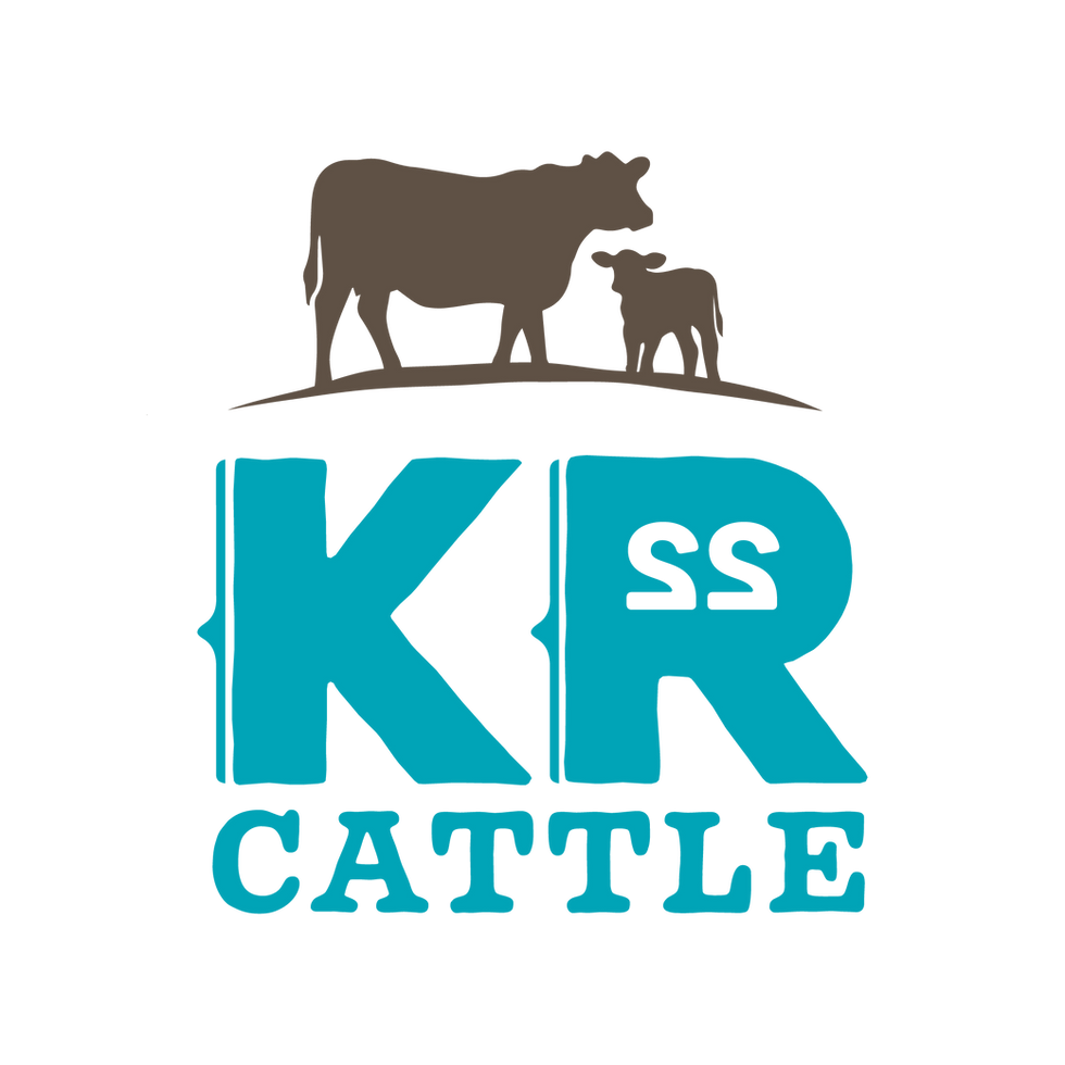 KR Cattle_Artboard 1 copy 3.png