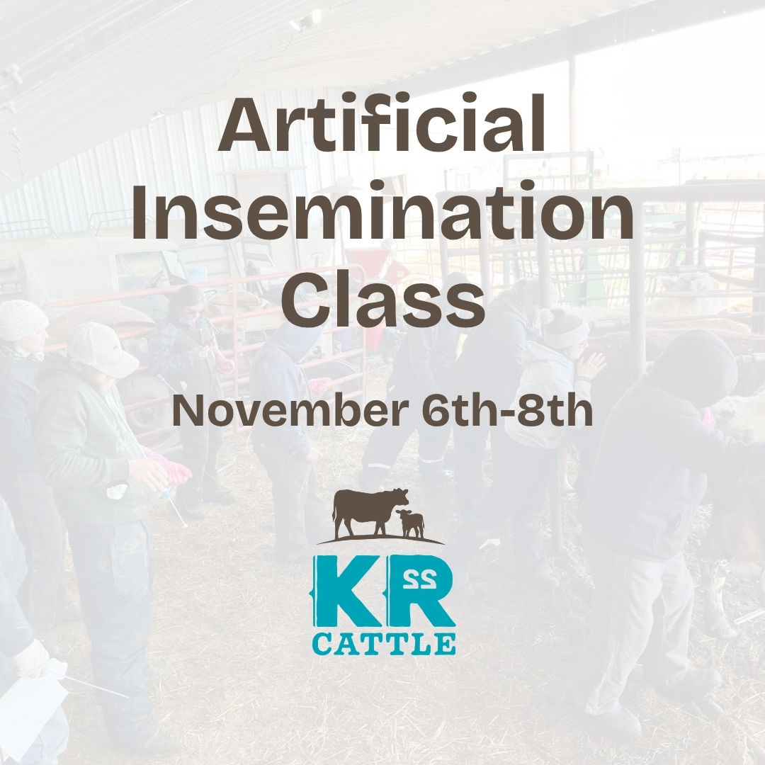 Artificial Insemination Course (November 6-8)