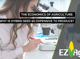 The Economics of Agriculture: Why is Hybrid Seed So Expensive to Produce?