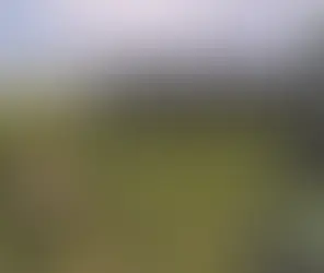 Improving Yields With Agricultural Consulting Services in Kansas