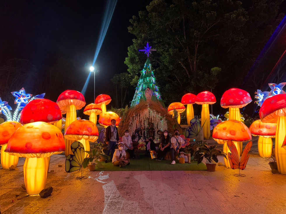 People sitting among large, illuminated mushrooms at night.