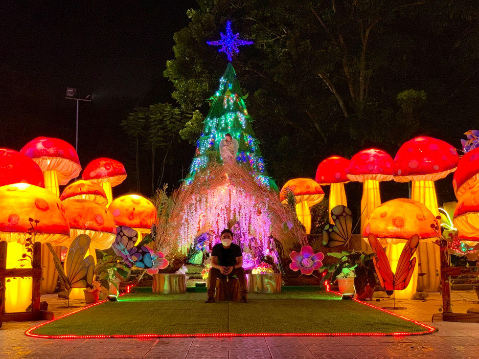Colorful mushroom and tree light display at night.