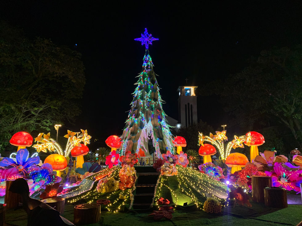 Colorful illuminated tree with mushrooms and stars.