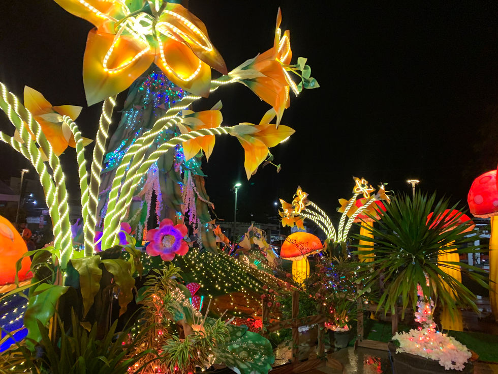 Colorful illuminated flowers and plants at night.