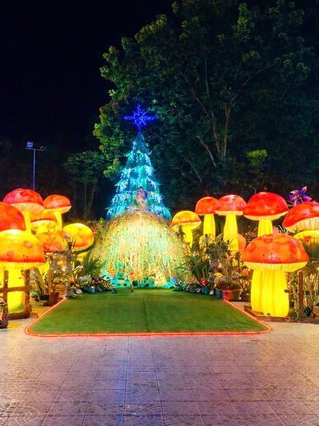 Christmas decor ideas, colorful mushrooms