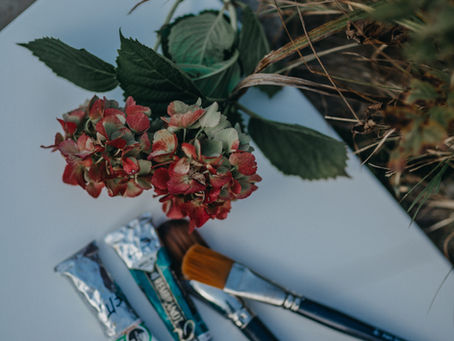 fleurs automnales dans la nature sur une toile vierge, prête à recevoir la peinture qui va l'animer