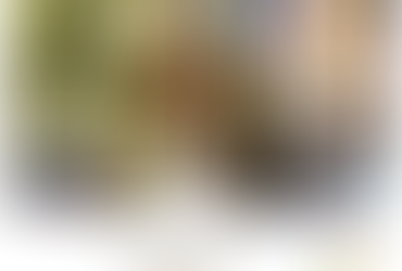 La saison du Bois et le retour du printemps en Sonothérapie