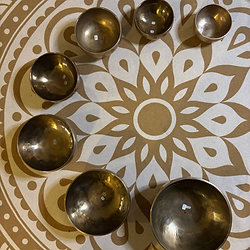 Formation Bain Sonore: Les instruments