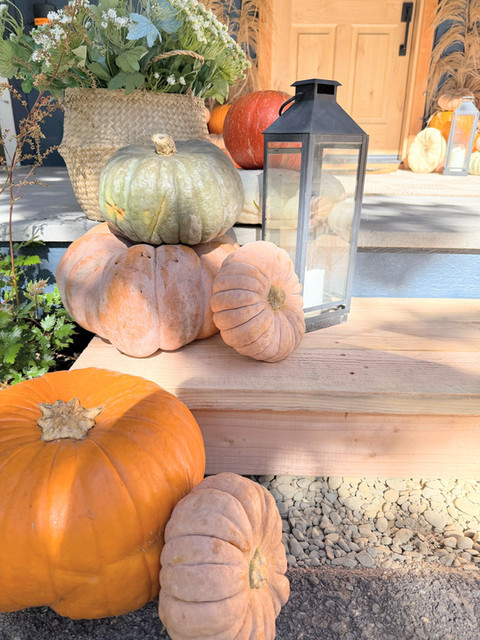 Fall harvest pumpkin porch tahoe