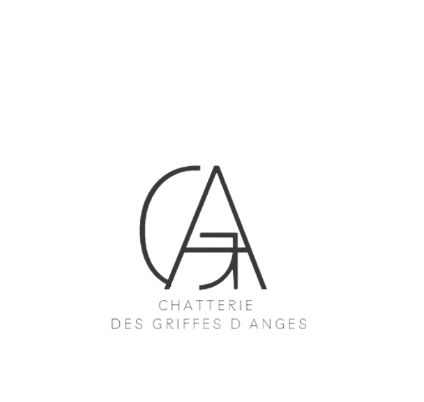 Logo noir.png