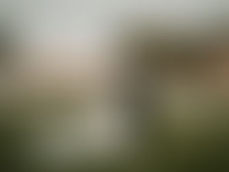 Backyard Wedding Tips