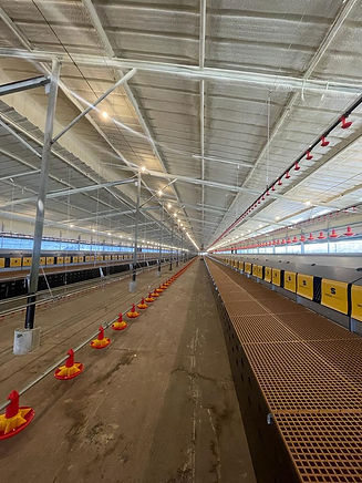 WhatsApp Image 2023-07-29 at 13.07.32.jpg