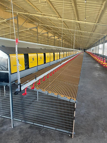 WhatsApp Image 2023-07-29 at 12.57.47.jpg