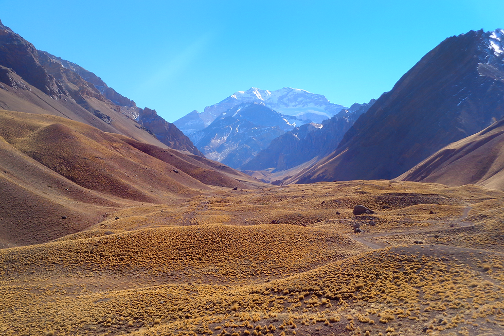 Entre viñedos y montañas
