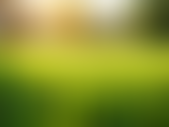 Maintaining a Beautiful Lawn During a Drought: Essential Tips and Tricks